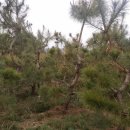 (주)주당 이미지