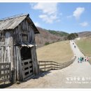 조원목장 이미지