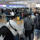 바글바글 이미지