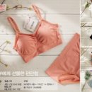 얀스토리 - 양평군 한들길 24-1 | 얀스토리