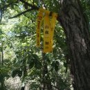 완산-169 Daum카페