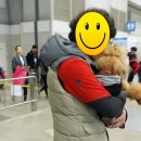 은비캔넬 | 베니,코니와 케이펫 페어 나들이 다녀왔어요! 2015 K-PET FAIR