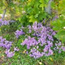 기화농장 이미지