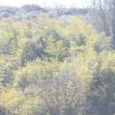 송정동-14 이미지