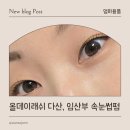 다산속눈썹 올데이래쉬 다산, 임산부도 가능한 속눈썹펌 후기