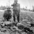 상신기지 이미지