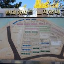 압구정동현대아파트 올수리 월세 211동 119㎡(36 P) 압구정역1번 출구 앞 (현대아파트 월세 36125) 이미지