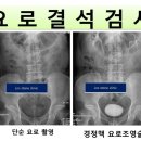 엘비뇨기과의원 이미지
