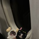 가람청과