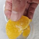 부자농장 | 제주조이감귤농장 황금향 후기-겨울면역력에는 비타민c 가득 황금향 최고