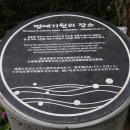 제주 서귀포 산방산 이미지