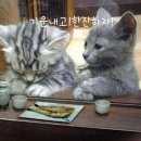 토크투어