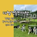 장동펜션 | 대전에서 1시간 40분! 강원도 원주 대형견동반가능펜션 귀래630