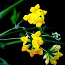 운봉의뜰 이미지