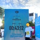 서서동물의료센터 | 마라톤 I 2026 서울 투어 마라톤 11K 코스 참가 후기 및 완주 메달, 간식, 기록 확인, 기록증 다운로드 등