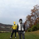 피노이타운 네이버블로그