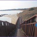 바당올레 이미지