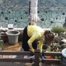 똘이똘이엄마식당 이미지