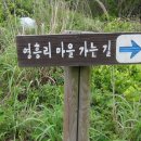 추자처사각 이미지
