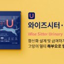 와이즈디자인