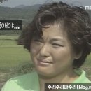 용식목장 네이버블로그