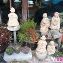 그린세상