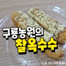강원도 구룡농원의 찰옥수수 직접 먹어 본 후기