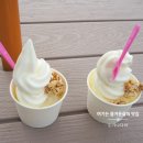 보리소프트 이미지