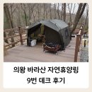 그늘막9 | 의왕 바라산 자연휴양림 캠핑장 9번 데크 후기