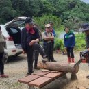 산림기능사 국가기술자격증 과정 네이버블로그
