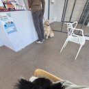 유제이마트 | 2월