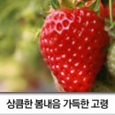 즐거운 무예스쿨 | 고령 가볼만한 곳 :: 2016 고령 대가야축제 생생후기! _ 대가야역사테마관광지, 지산동고분군, 아이들과...