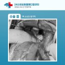 성심동물의료센터 이미지