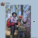 머위랑 놀다왔습니다. 이미지