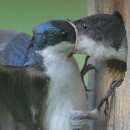 로타리솥뚜껑 이미지