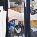 33평 구축 인테리어 후기 | 일산에이스10차 아파트 | 베리트디자인