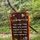 남산 유아숲체험원 이미지