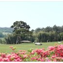 【예산의 가볼만한곳, 추사고택-1】