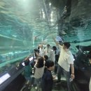 파랑새드림 지역아동센터 한국경제TV