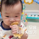 손목 치발기 추천 : 모윰 스타터 사자 치발기 사용 후기(9개월 아기)