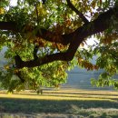 삼계2리 이미지