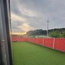 놀러오개 애견유치원 애견호텔 이미지