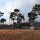 정기안 선생 묘 이미지