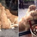 옹기종기 이미지