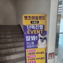 펫츠 아일랜드 이미지