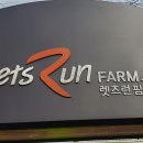 제주 1년 살기 일상[244] ; 렛츠런팜 제주 이미지