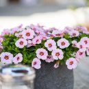 민 행정사 이미지