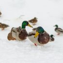 광릉수목원로 이미지