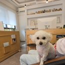 LG부동산공인중개사사무소 이미지