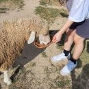 조나단목장 이미지